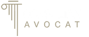 Logo Consultant Avocat